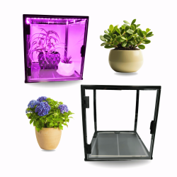 DUŻA GABLOTA ROŚLINNA 30×30×30 cm Z OŚWIETLENIEM GROW-LIGHT I MATĄ GRZEWCZĄ – MINI SZKLARNIA KOLEKCJONERSKA DLA ROŚLIN EGZOTYCZNYCH