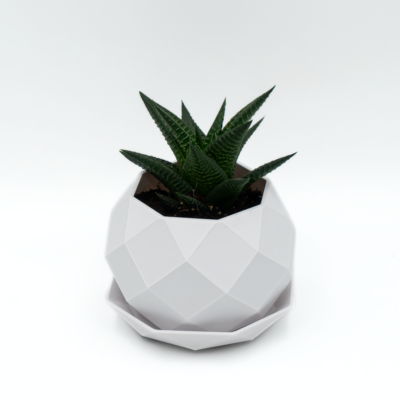 Osłonka na Doniczkę / Doniczka z Podstawką Idealna do Twojego Domu! 10 cm biała