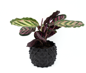 Osłonka na Doniczkę – Idealna do Twojego Domu! 12 cm – czarna