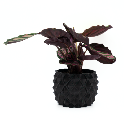 Osłonka na Doniczkę – Idealna do Twojego Domu! 12 cm – czarna