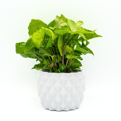 Osłonka na Doniczkę – Idealna do Twojego Domu! 12 cm – biała