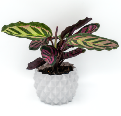 Osłonka na Doniczkę – Idealna do Twojego Domu! 12 cm – biała