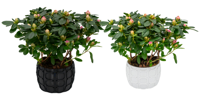 Osłonka na Doniczkę 8,5×12,5 cm – czarna