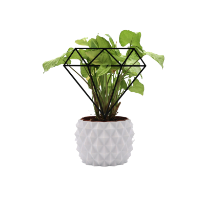 Podpora do Roślin Diament Eleganckie i Funkcjonalne Wsparcie dla Twoich Roślin Domowych