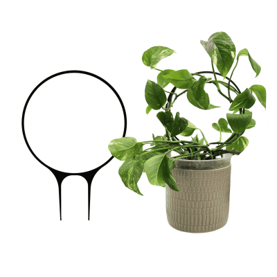 Podpora do Roślin – Koło – Eleganckie i Funkcjonalne Wsparcie dla Twoich Roślin Domowych