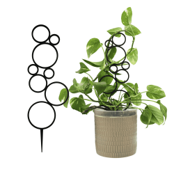 Podpórka do Roślin – Bąbelki / Kółeczka Eleganckie i Funkcjonalne Wsparcie dla Twoich Roślin Domowych