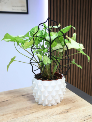 Podpórka do Roślin LIŚĆ / ALOCASIA  Eleganckie i Funkcjonalne Wsparcie dla Twoich Roślin Domowych