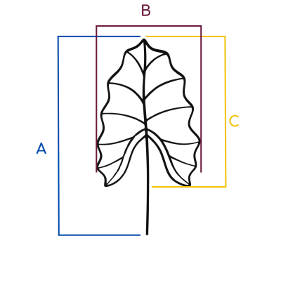 Podpórka do Roślin LIŚĆ / ALOCASIA  Eleganckie i Funkcjonalne Wsparcie dla Twoich Roślin Domowych
