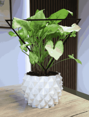 Podpora do Roślin pnących – Trójkąt – Eleganckie i Funkcjonalne Wsparcie dla Twoich Roślin Domowych