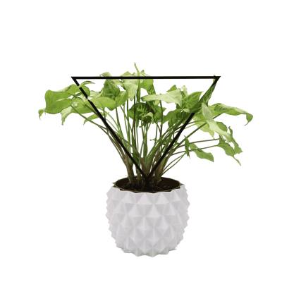 Podpora do Roślin pnących – Trójkąt – Eleganckie i Funkcjonalne Wsparcie dla Twoich Roślin Domowych