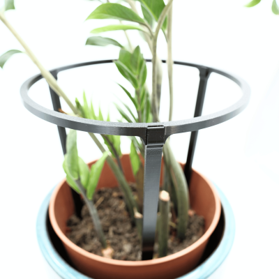 Zestaw 3 podpór do roślin RING – 185/200/220 mm – podpórki pierścieniowe, obejma do kwiatów, doniczek i ogrodu